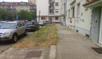 Visoka trava u naselju Tokio