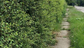 Neodržavanje obdaništa u MZ Mali Bajmok