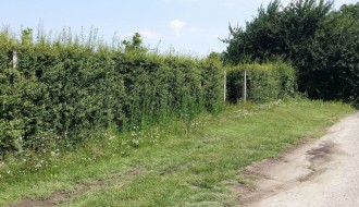 Neodržavanje obdaništa u MZ Mali Bajmok