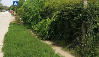 Neodržavanje obdaništa u MZ Mali Bajmok