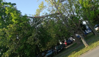 Polomljena grana tačno iznad pešačke staze (Magnetna polja)