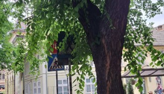 Izbledeli pešački prelaz i zaklonjeni saobraćajni znakovi na uglu ulica Vladimira Nazora i Branislava Nušića