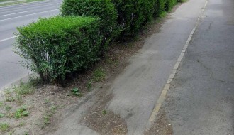 Rupa na biciklističkoj stazi na Segedinskom putu