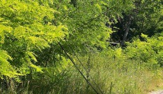 Srušena bandera u ulici Josipa Kolumba