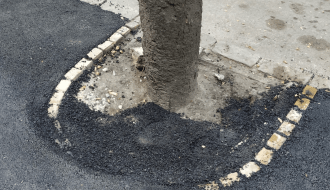 "Zaasfaltirano" drvo u Rudić ulici