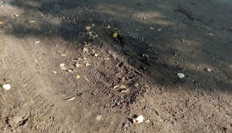 Udarne rupe u Omladinskoj ulici, višegodišnji problemi sa rasvetom