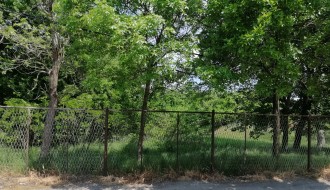 Ogranak vodovoda u Kozaračkoj ulici zarastao u rastinje