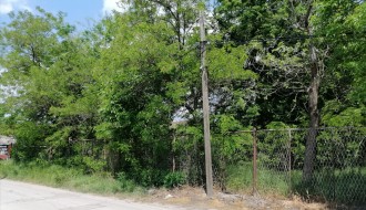 Ogranak vodovoda u Kozaračkoj ulici zarastao u rastinje