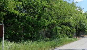 Ogranak vodovoda u Kozaračkoj ulici zarastao u rastinje