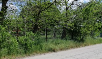 Ogranak vodovoda u Kozaračkoj ulici zarastao u rastinje