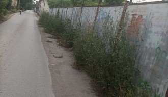 Kretanje pešaka u Ulici Jovana Mikića, posle Majšanskog mosta