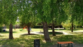 Visoka trava u Bikovu