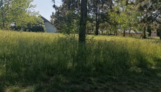 Visoka trava u Bikovu