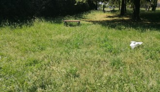 Visoka trava u Bikovu