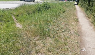 Visoka trava u Bikovu