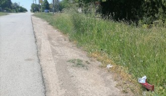 Visoka trava u Bikovu