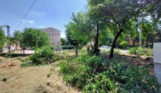 Drveće zaklanja vidljivost na raskrsnici (MZ "Ker")