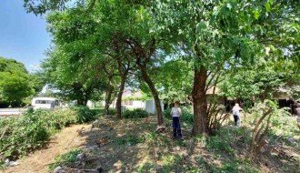 Drveće zaklanja vidljivost na raskrsnici (MZ "Ker")