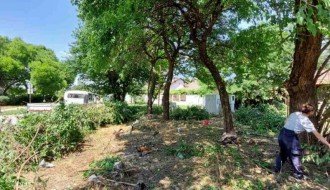 Drveće zaklanja vidljivost na raskrsnici (MZ "Ker")