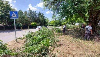 Drveće zaklanja vidljivost na raskrsnici (MZ "Ker")