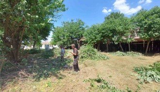 Drveće zaklanja vidljivost na raskrsnici (MZ "Ker")