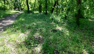 Zapuštena Dudova šuma (visoka trava, smeće, raspadnuti beton)