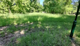 Zapuštena Dudova šuma (visoka trava, smeće, raspadnuti beton)