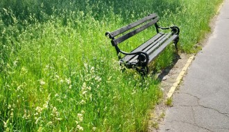 Zapuštena Dudova šuma (visoka trava, smeće, raspadnuti beton)