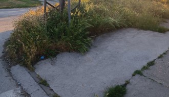 Nepregledna raskrsnica na uglu Skenderbegove I Gundulićeve ulice (rastinje)