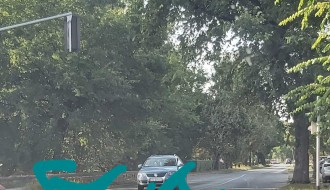 Obeležja na kolovozu (ugao Gajeve i Somborskog puta)