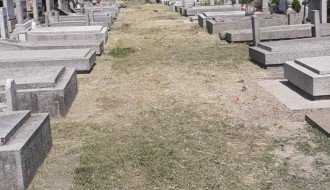 Korov na Bajskom groblju