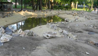 Panjevi u Dudovoj šumi