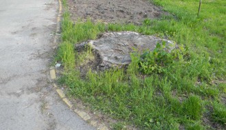 Panjevi u Dudovoj šumi