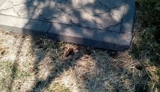 Zapušteno pravoslavno groblje u Dudovoj šumi