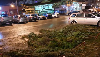 Prodaja jelki na parkingu na Prozivci