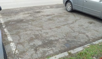 Prodaja jelki na parkingu na Prozivci