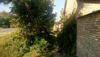 Veliko ruglo pred buvljakom (Velebitska ulica)