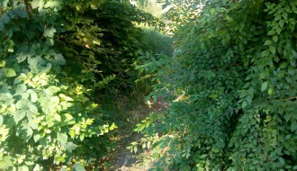 Veliko ruglo pred buvljakom (Velebitska ulica)