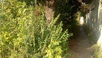 Veliko ruglo pred buvljakom (Velebitska ulica)