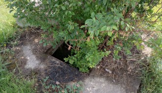 Bujno zelenilo, a "šahta" i dalje otvorena (ugao Petefi Šandora i Žabnjaka, Bajmok)