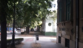 Orezivanje stabala u Ulici braće Radić