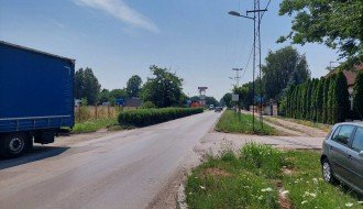 Živa ograda u ulici Đorđa Natoševića