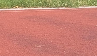 Zapušteno i neopremljeno igralište u Malom Bajmoku