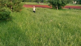 Zapušteno i neopremljeno igralište u Malom Bajmoku