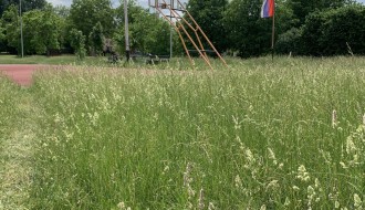 Zapušten košarkaški teren u Aleksandrovu