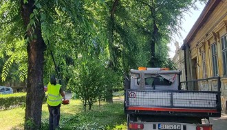 Biciklističke staze i neorezano granje