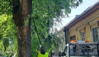 Biciklističke staze i neorezano granje