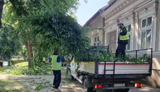 Biciklističke staze i neorezano granje