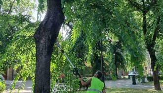 Biciklističke staze i neorezano granje