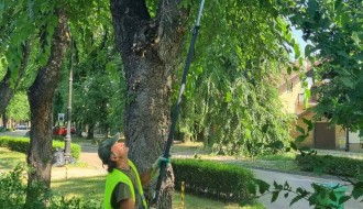 Biciklističke staze i neorezano granje